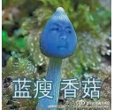 藍(lán)瘦香菇什么梗 柯尼卡美能達(dá)復(fù)印機(jī)新代碼？